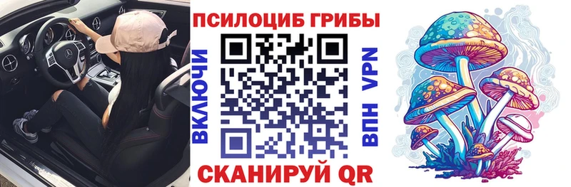 Галлюциногенные грибы Psilocybe  Томари 